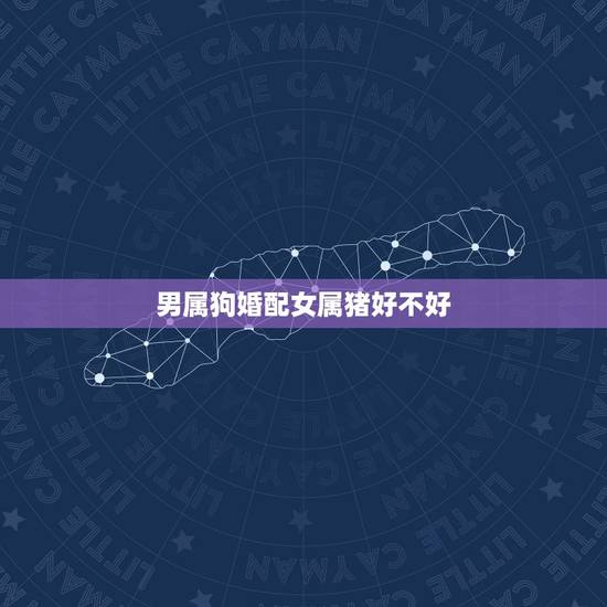 男属狗婚配女属猪好不好,属狗男和属猪女相配吗 男属狗婚配女属猪好不好,属狗男和属猪女相配吗