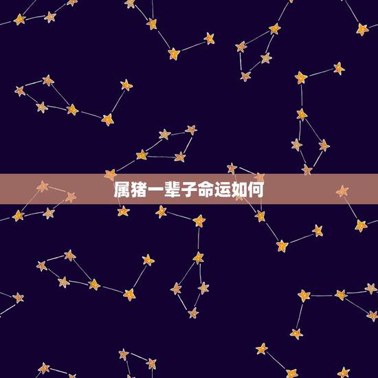 属猪一辈子命运如何，属猪哪天出生命最苦
