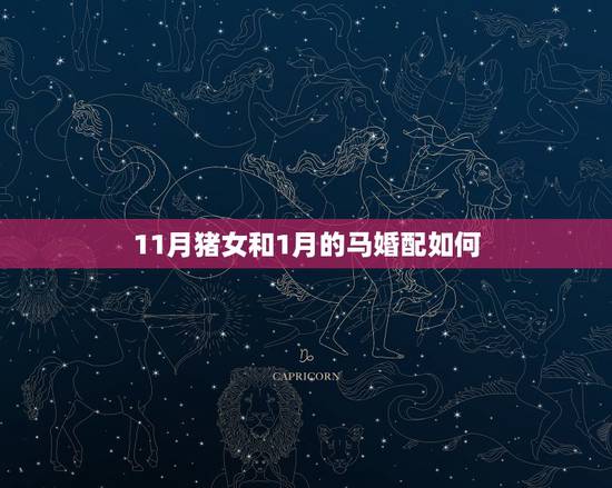 11月猪女和1月的马婚配如何，婚配|马和猪能婚配吗