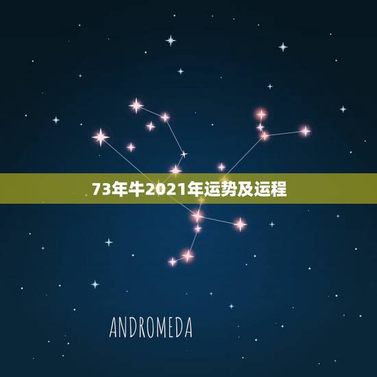 73年牛2021年运势及运程，属牛人2021年全年运势详解1973