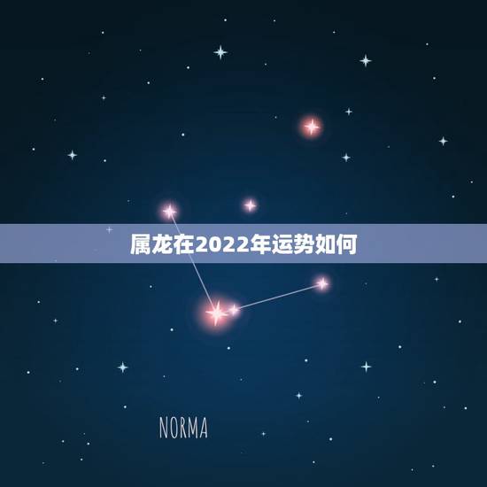 属龙在2022年运势如何,2022属龙的运势和财运1976年 属龙在2022年运势如何,2022属龙的运势和财运1976年