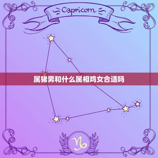 属猪男和什么属相鸡女合适吗，属鸡女和属猪男的适合做夫妻吗