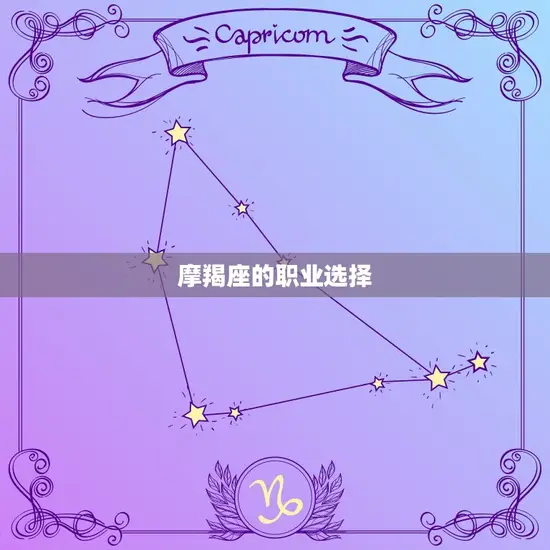 摩羯座的职业选择