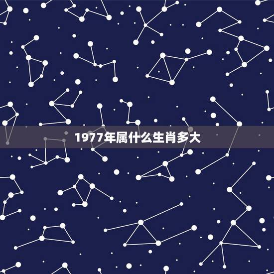 1977年属什么生肖多大，1977年属蛇人2022 年运势