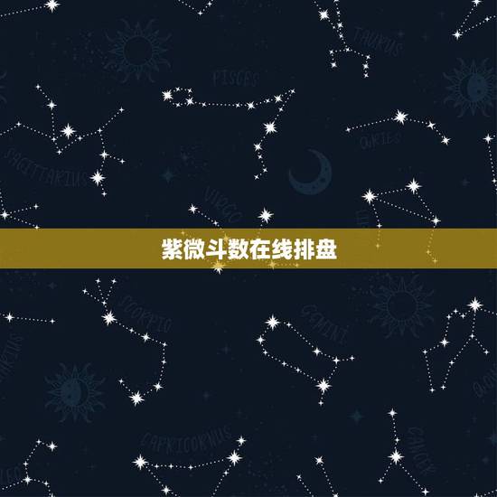 紫微斗数在线排盘,紫微斗数在线排盘,怎么看? 紫微斗数在线排盘,紫微斗数在线排盘,怎么看?