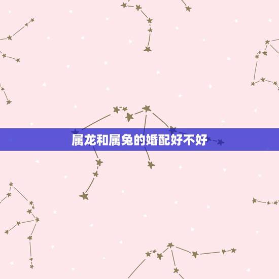 属龙和属兔的婚配好不好,属兔跟属龙的财运怎么样 属龙和属兔的婚配好不好,属兔跟属龙的财运怎么样