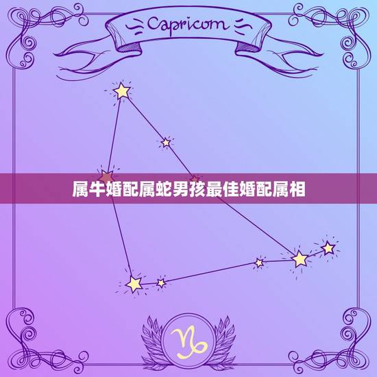 属牛婚配属蛇男孩最佳婚配属相，属牛女和属蛇男的姻缘婚配
