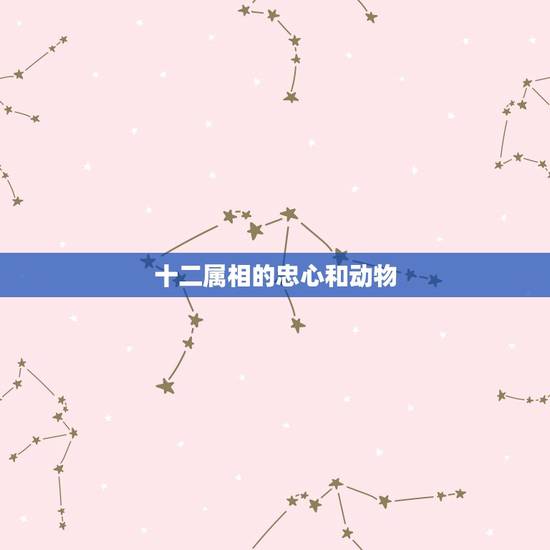 十二属相的忠心和动物,十二生肖里什么动物最忠心 十二属相的忠心和动物,十二生肖里什么动物最忠心