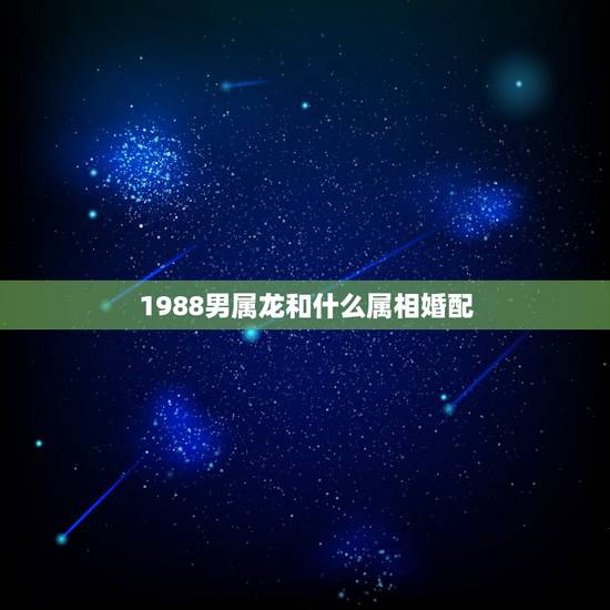 1988男属龙和什么属相婚配，属龙的生肖配对表