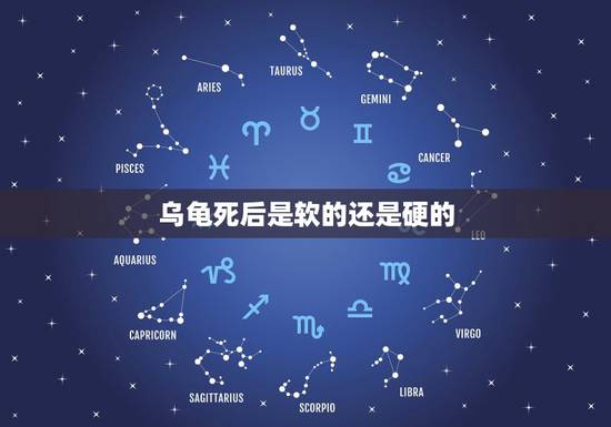 乌龟死后是软的还是硬的，乌龟死了为什么壳要软