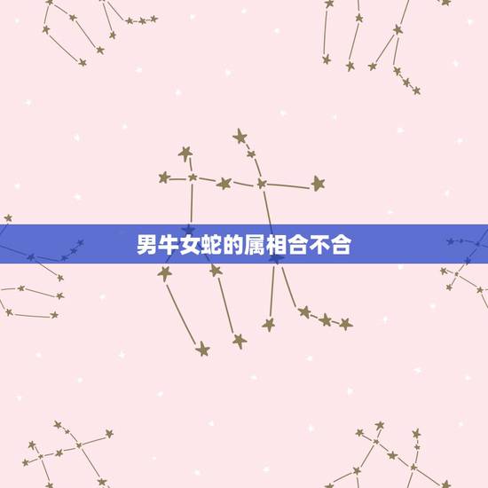 男牛女蛇的属相合不合,生肖牛和蛇冲不冲? 男牛女蛇的属相合不合,生肖牛和蛇冲不冲?