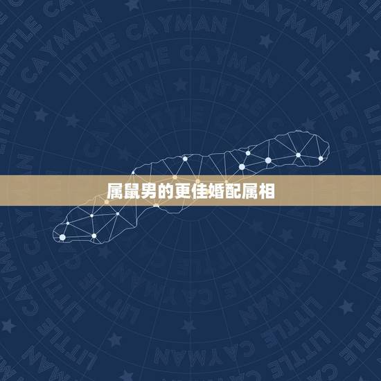 属鼠男的更佳婚配属相,属鼠的一生更佳婚配 属鼠男的更佳婚配属相,属鼠的一生更佳婚配