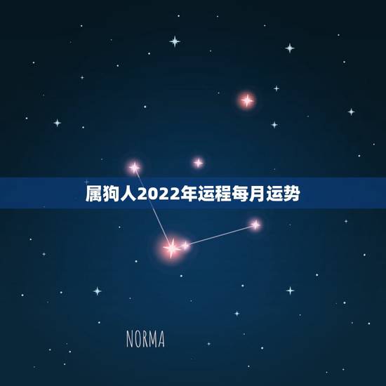 属狗人2022年运程每月运势，属狗人未来10年大运