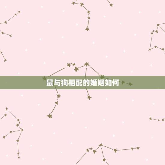 鼠与狗相配的婚姻如何,狗和鼠相配婚姻如何 鼠与狗相配的婚姻如何,狗和鼠相配婚姻如何