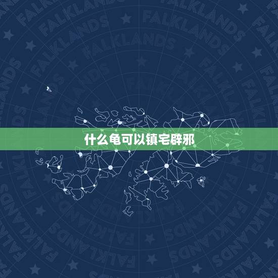 什么龟可以镇宅辟邪，镇宅养什么龟