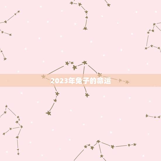 2023年兔子的命运,属兔2023年运势及运程 2023年兔子的命运,属兔2023年运势及运程