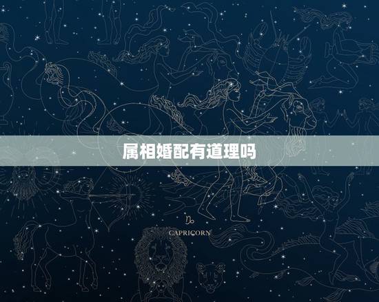 属相婚配有道理吗,古代生肖分配有科学依据吗?能否参考呢? 属相婚配有道理吗,古代生肖分配有科学依据吗?能否参考呢?