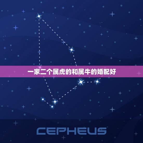 一家二个属虎的和属牛的婚配好，属牛跟属虎相配好不好