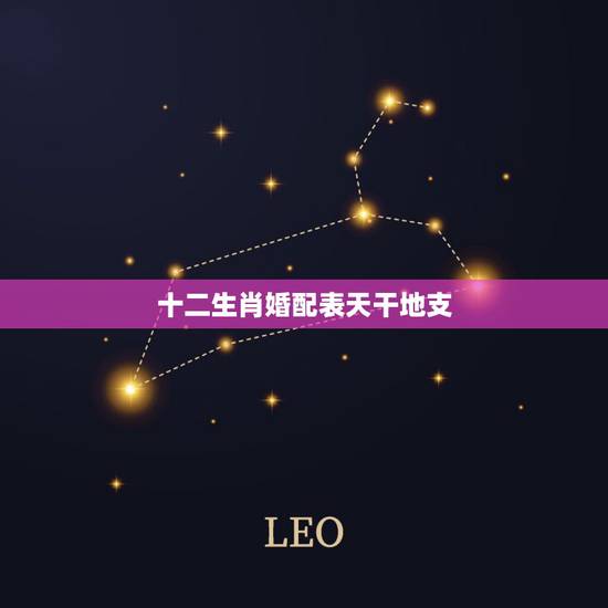 十二生肖婚配表天干地支，年份生肖配对表在哪里可以看？