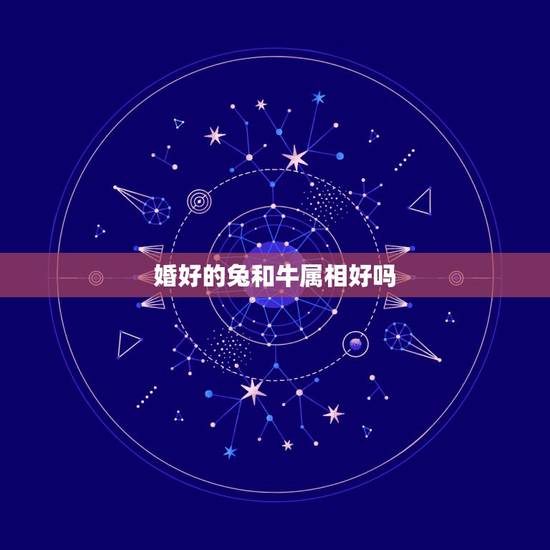 婚好的兔和牛属相好吗，属兔与属牛的结婚好吗