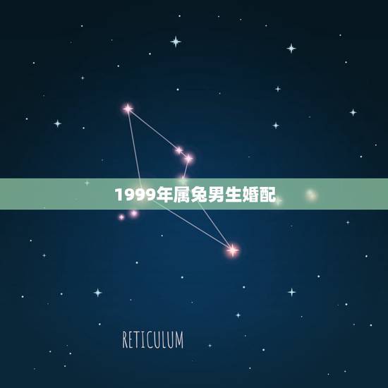 1999年属兔男生婚配,男兔1999年出生的婚姻 1999年属兔男生婚配,男兔1999年出生的婚姻