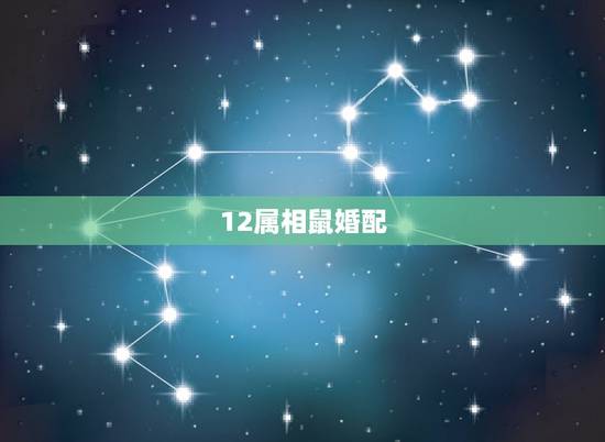 12属相鼠婚配,属老鼠的和属老鼠的婚姻相配吗? 12属相鼠婚配,属老鼠的和属老鼠的婚姻相配吗?