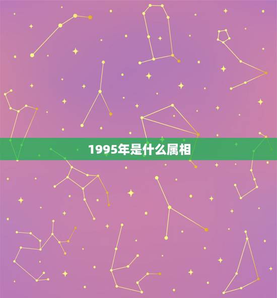 1995年是什么属相，1995年五行属什么