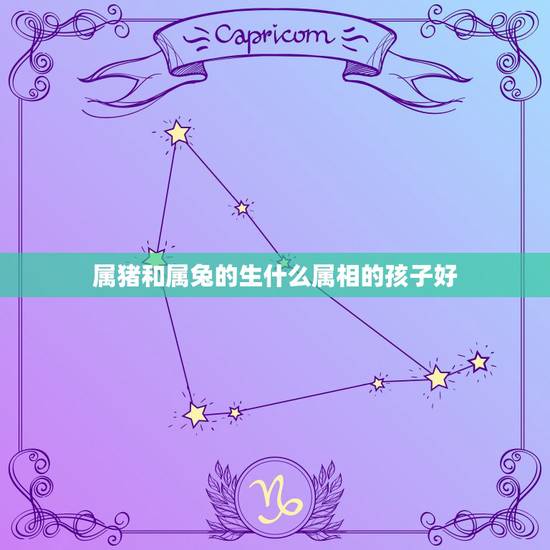 属猪和属兔的生什么属相的孩子好,属兔子的与属猪的生个什么属相的孩子好 属猪和属兔的生什么属相的孩子好,属兔子的与属猪的生个什么属相的孩子好