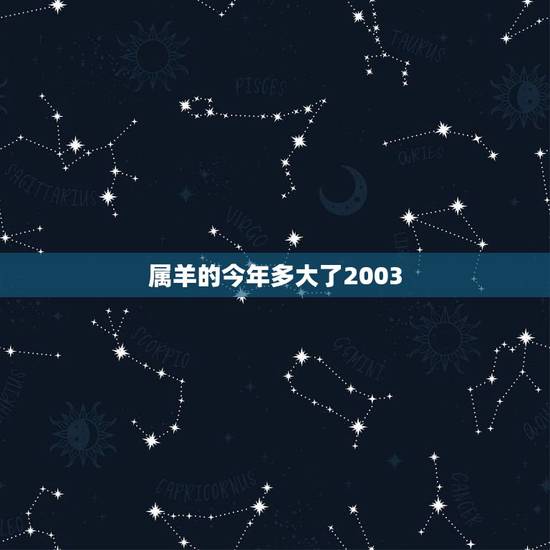 属羊的今年多大了2003，2003年出生的2022 年几岁