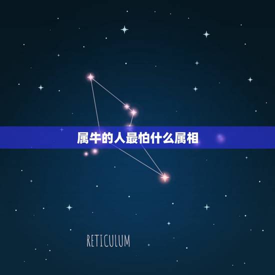 属牛的人最怕什么属相，属牛人最苦命出生月份