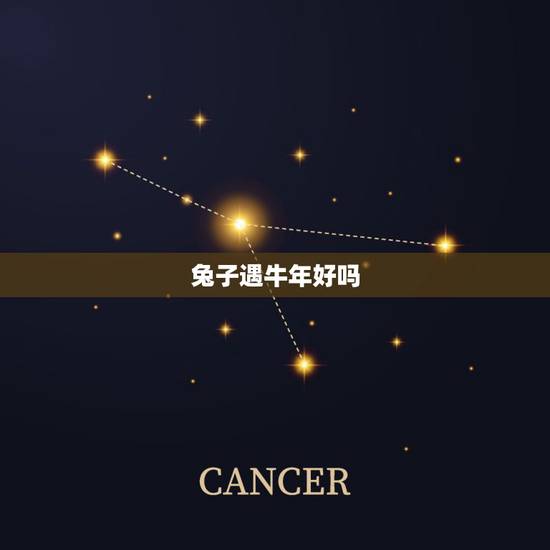 兔子遇牛年好吗,为公遇馋兔子 兔子遇牛年好吗,为公遇馋兔子