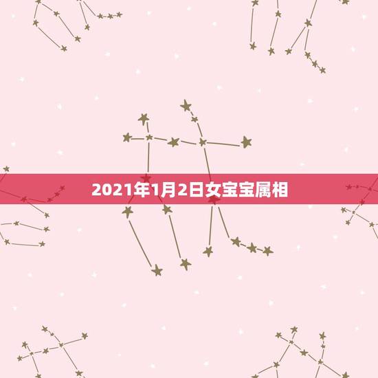 2021年1月2日女宝宝属相，2021年一月出生的宝宝是属什么