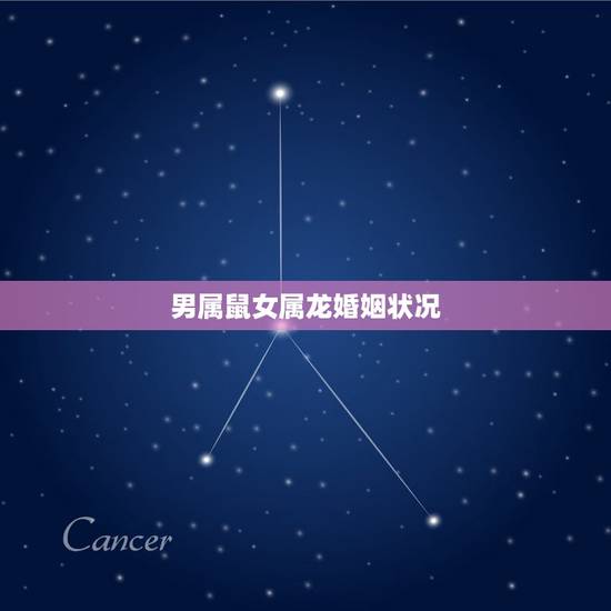 男属鼠女属龙婚姻状况,属牛的人和属龙的人相合吗 男属鼠女属龙婚姻状况,属牛的人和属龙的人相合吗