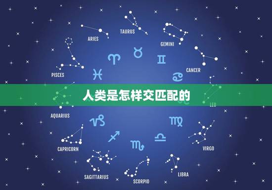 人类是怎样交匹配的，真的很好奇，人类是怎么学会交配的
