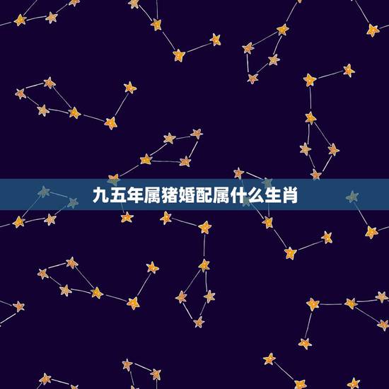九五年属猪婚配属什么生肖,95年属猪的和什么属相最配 九五年属猪婚配属什么生肖,95年属猪的和什么属相最配