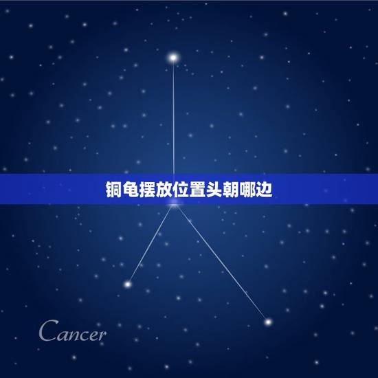 铜龟摆放位置头朝哪边，铜龟摆件头的方向