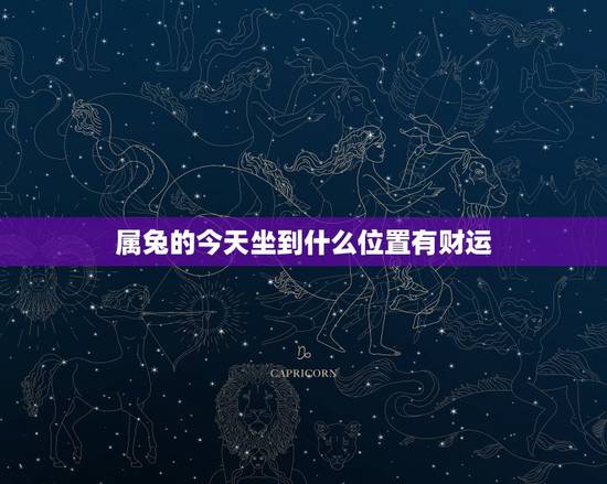 属兔的今天坐到什么位置有财运