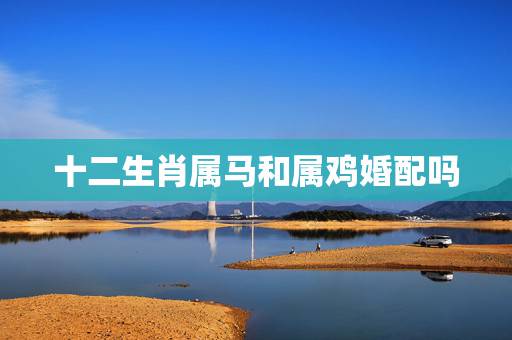 十二生肖属马和属鸡婚配吗,属马和属鸡的合不合 十二生肖属马和属鸡婚配吗,属马和属鸡的合不合