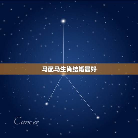 马配马生肖结婚最好,属马的和什么属相结婚配呢 马配马生肖结婚最好,属马的和什么属相结婚配呢