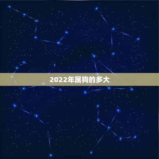 2022年属狗的多大，属狗2022年运势及运程