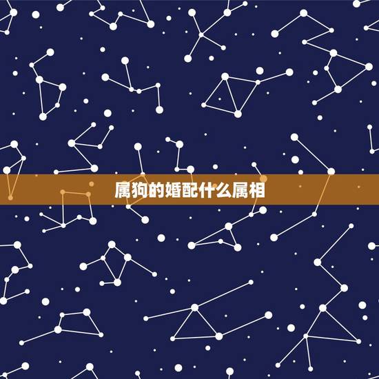 属狗的婚配什么属相,属狗配什么属相 属狗的婚配什么属相,属狗配什么属相