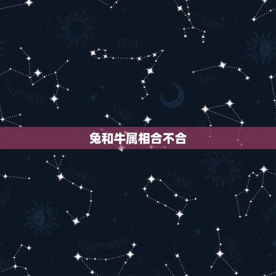 兔和牛属相合不合，兔和牛的属相合不合