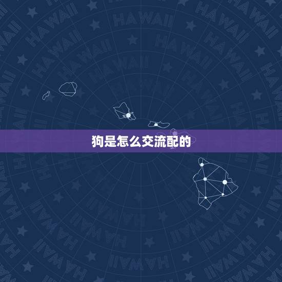 狗是怎么交流配的，大狗配小狗进不去怎么办