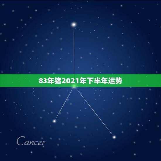 83年猪2021年下半年运势，1983年猪男在2021年的每月的运势