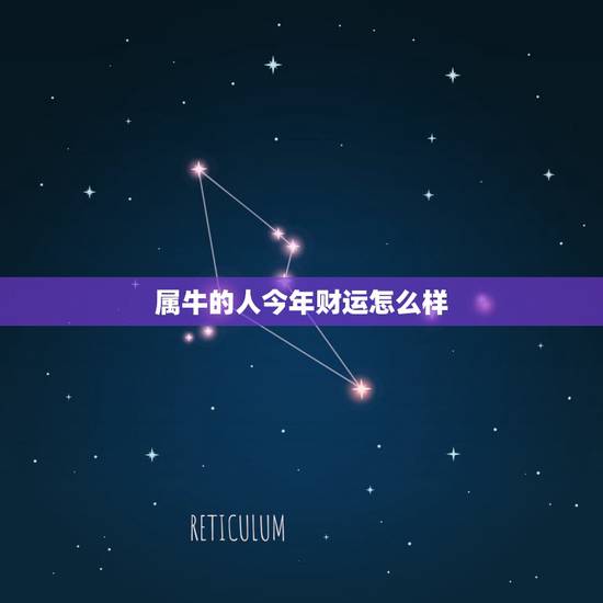 属牛的人今年财运怎么样 属牛人的财运建议 属牛的人今年财运怎么样 属牛人的财运建议
