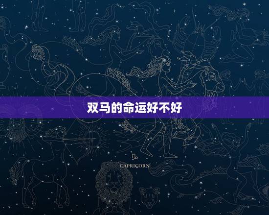 双马的命运好不好,两个属马的合适吗 双马的命运好不好,两个属马的合适吗
