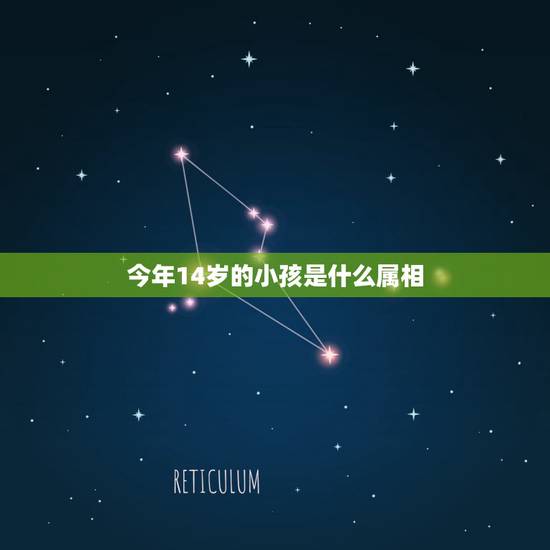 今年14岁的小孩是什么属相，2016年14岁的是属什么生肖的