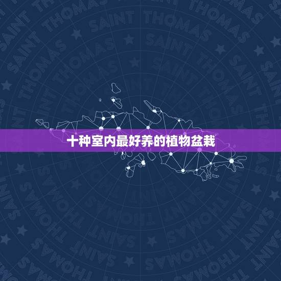 十种室内最好养的植物盆栽,室内种植什么植物最好? 十种室内最好养的植物盆栽,室内种植什么植物最好?