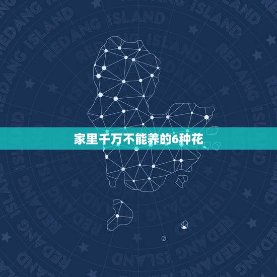 家里千万不能养的6种花，家里不能养的花有哪些