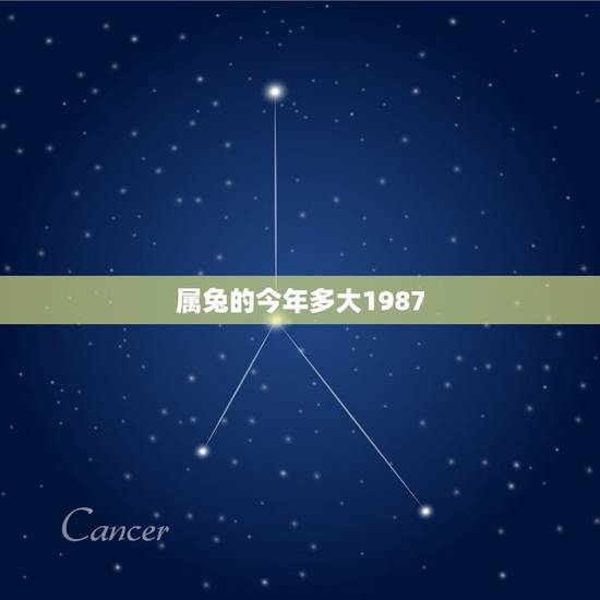 属兔的今年多大1987,1987年属兔虚岁多大2022 属兔的今年多大1987,1987年属兔虚岁多大2022